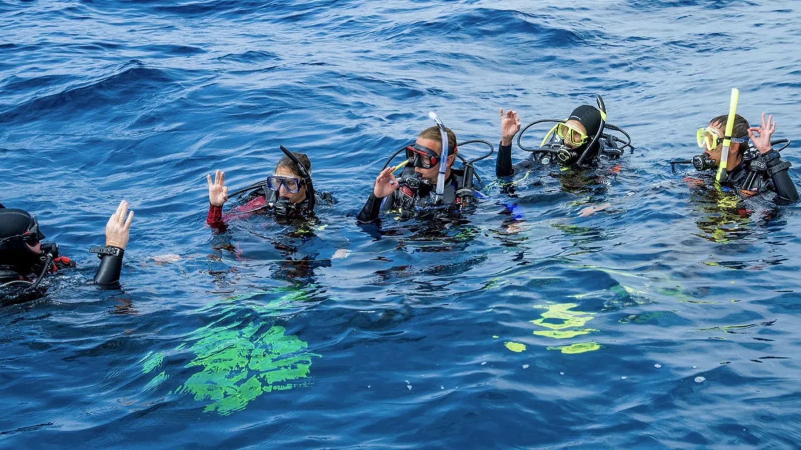 Aqua Dive Gold Coast