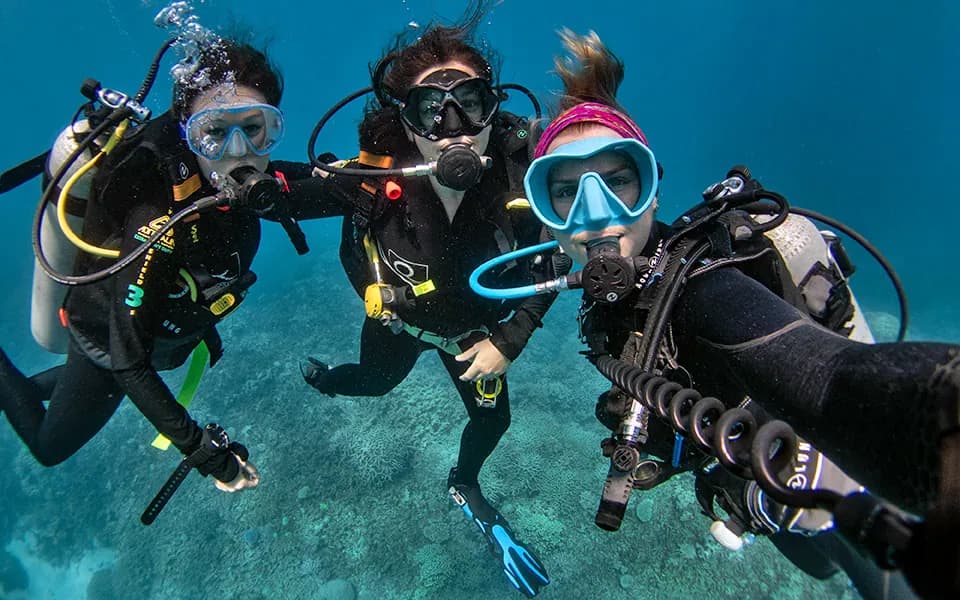 Blue Dive Port Douglas