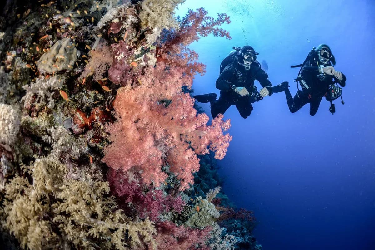 Central Coast Divers