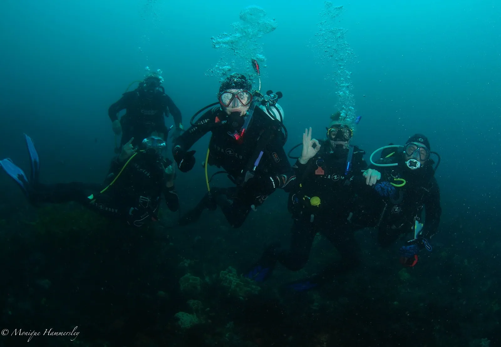 Diveline Scuba Centre