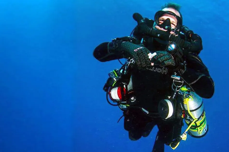Dolphin Scuba Diving