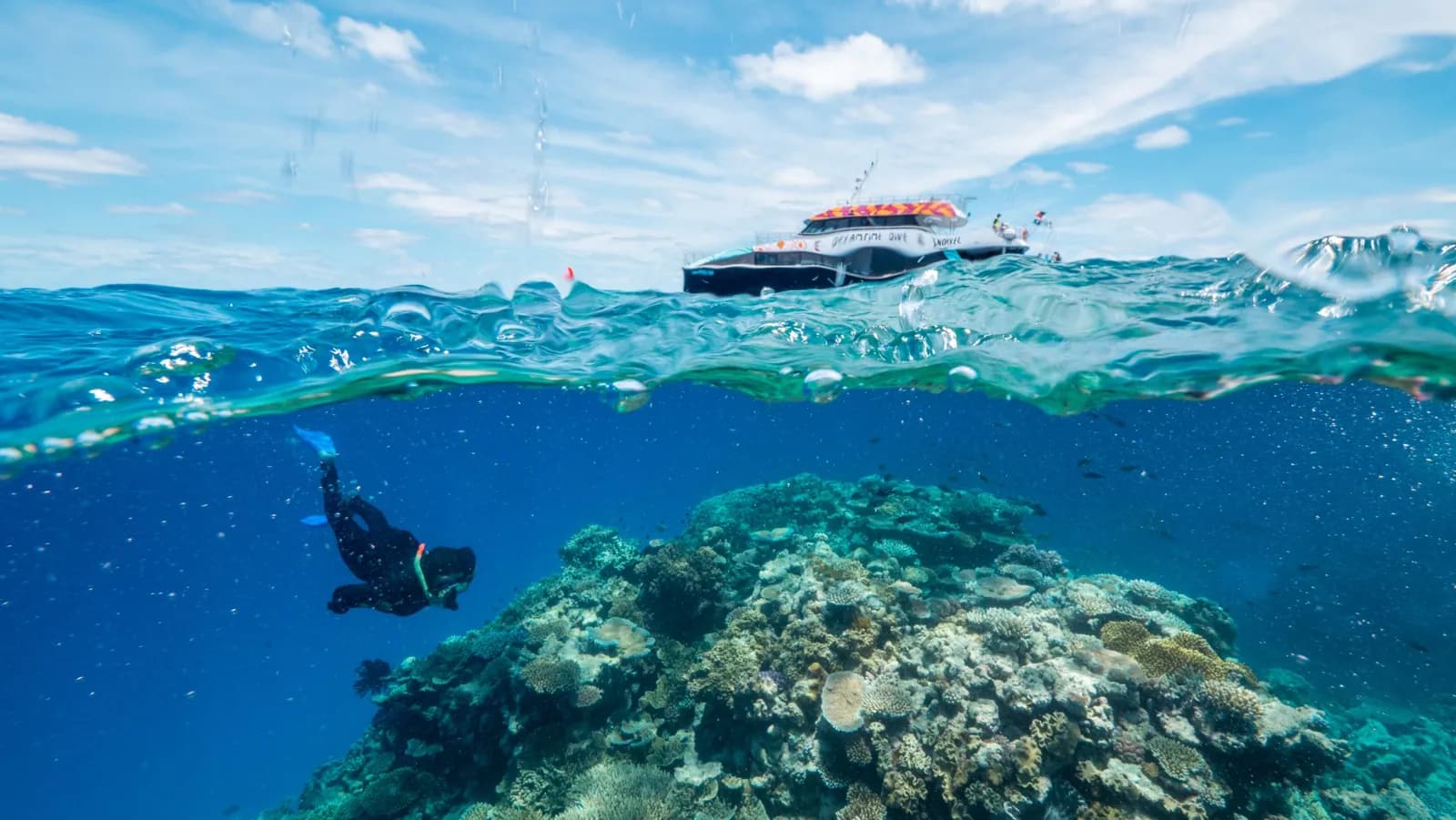 Dreamtime Dive & Snorkel