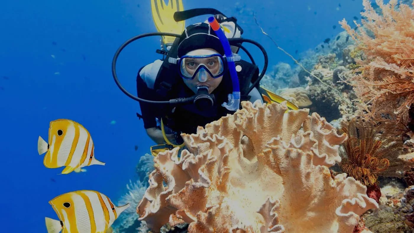 Geo Divers