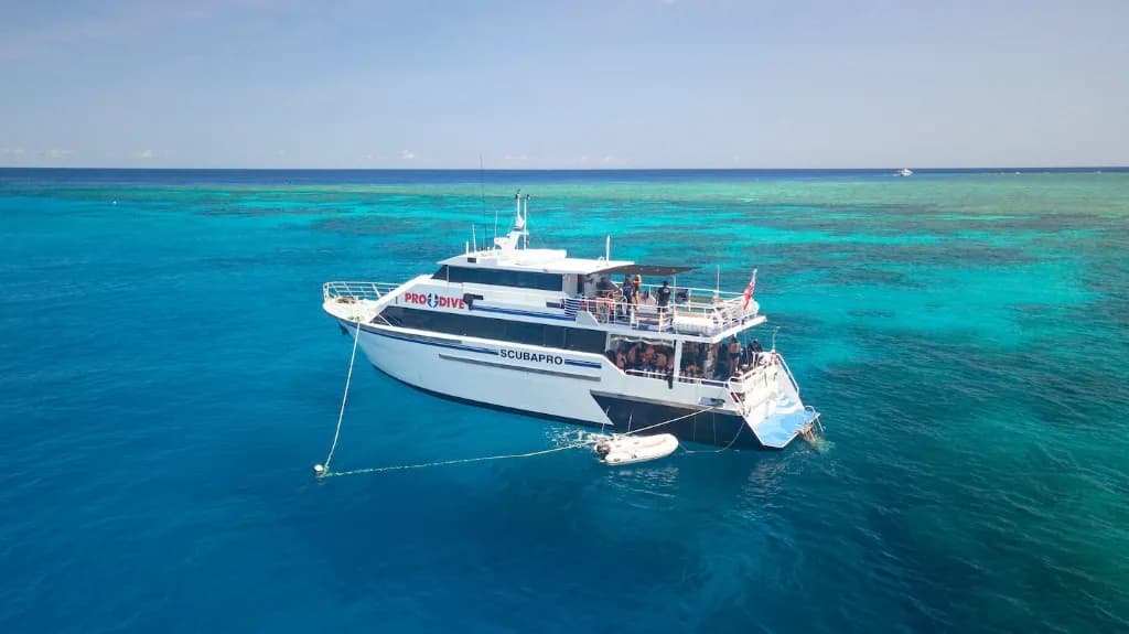 Pro Dive Cairns