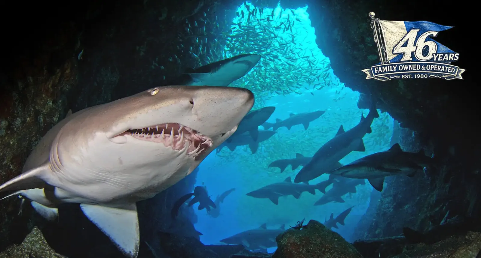 South West Rocks Dive Centre