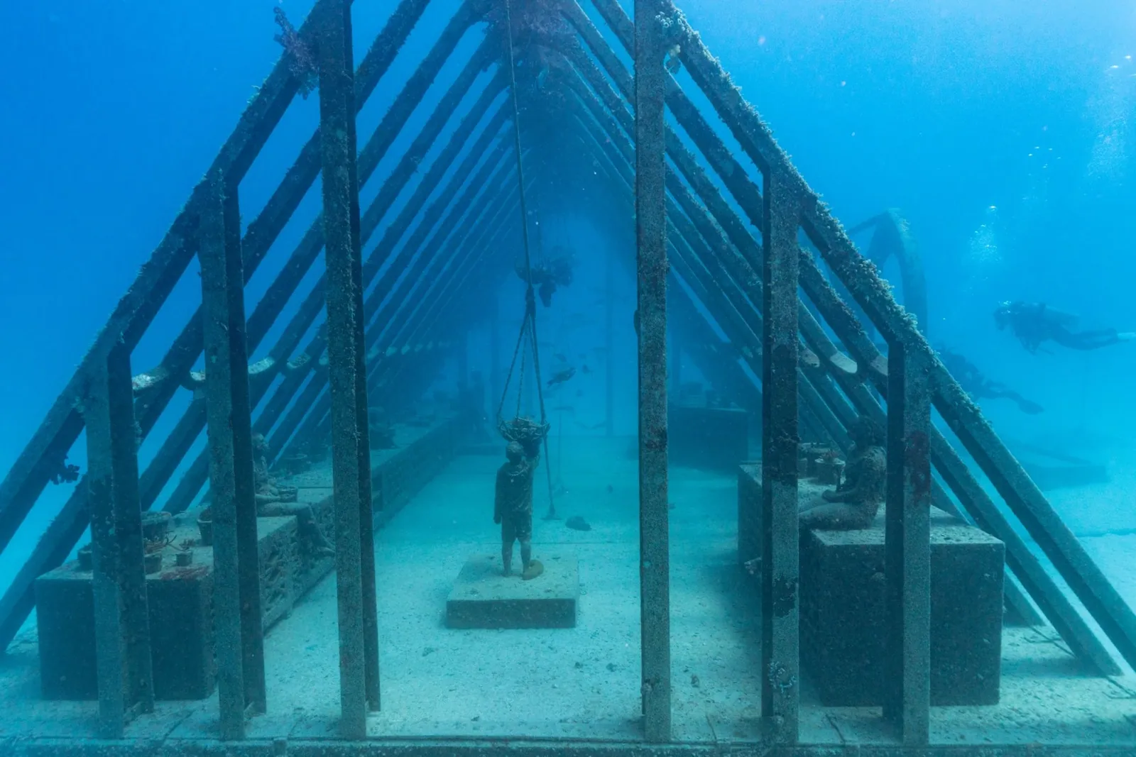 Adrenalin Snorkel & Dive — photo 5