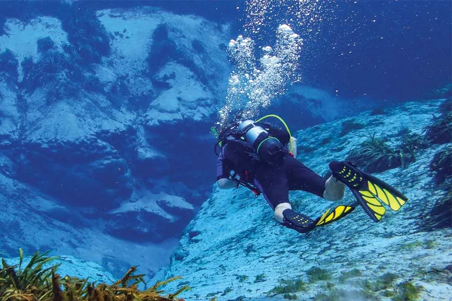 Aqua Dive Gold Coast — photo 3