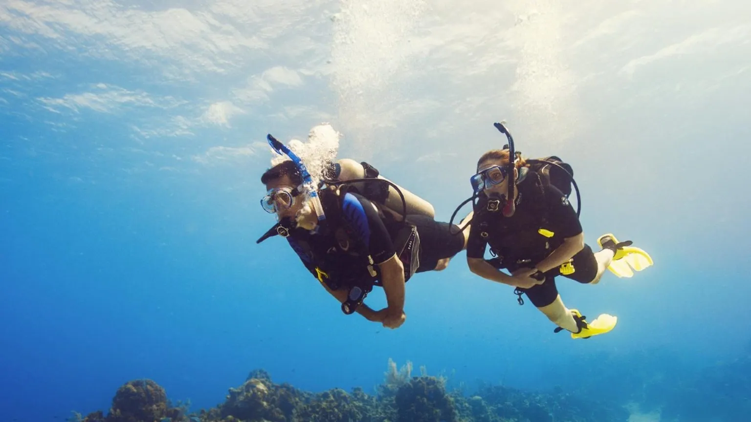 Aqua Dive Gold Coast — photo 4