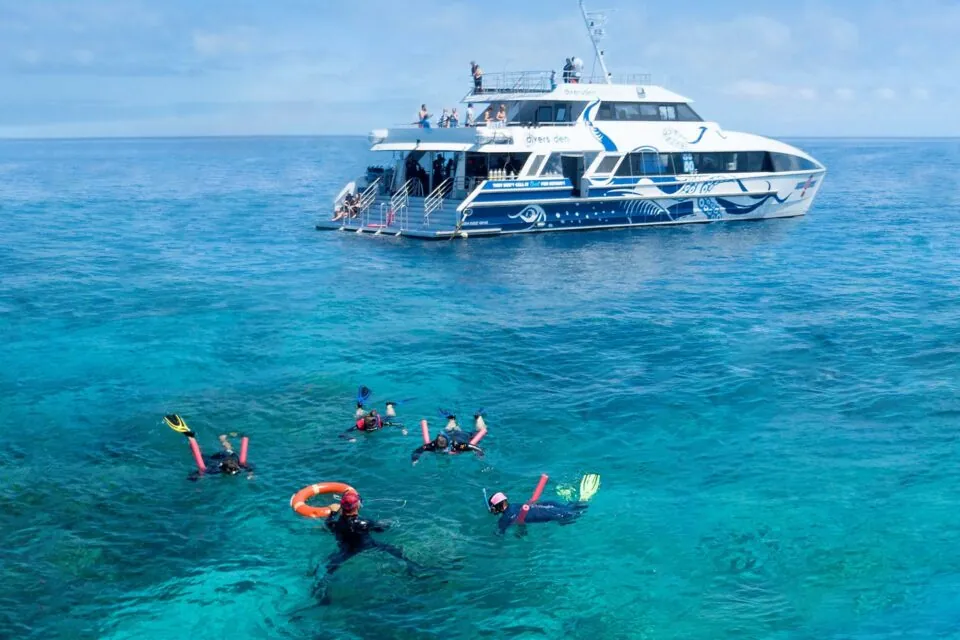 Divers Den — photo 3