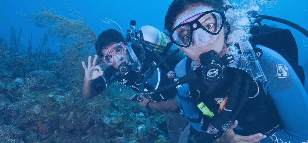 Geo Divers — photo 3