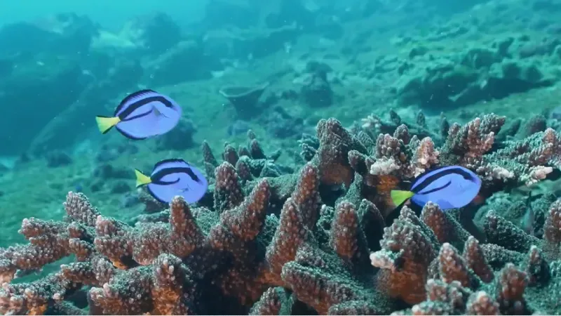 Jetty Dive Centre — photo 3