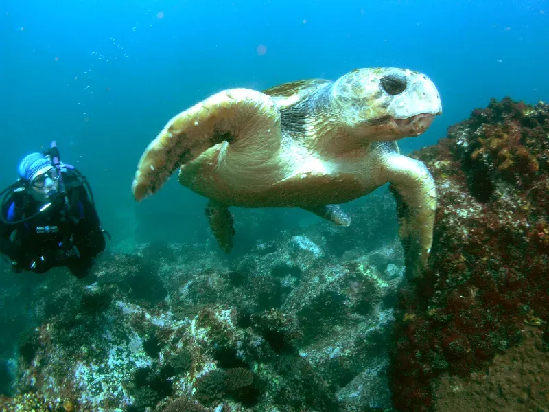 Jetty Dive Centre — photo 5