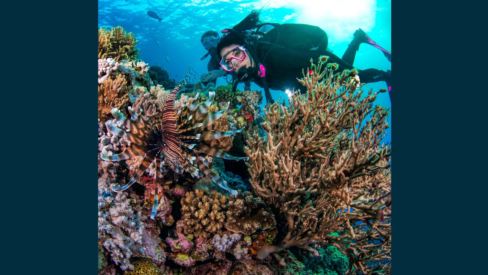 Pro Dive Cairns — photo 3