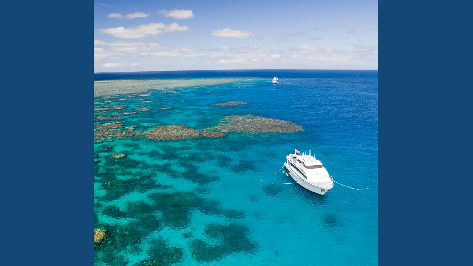 Pro Dive Cairns — photo 4