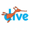 Dive Centre Manly logo